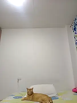 leah passion online show from January 2026 11:14:01 PM