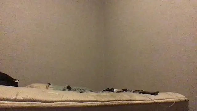 mondo29 online show from December 2024 04:20:01 AM