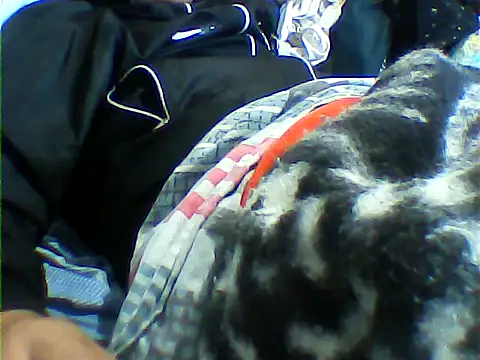 messi syssy online show from September 2025 08:34:02 PM