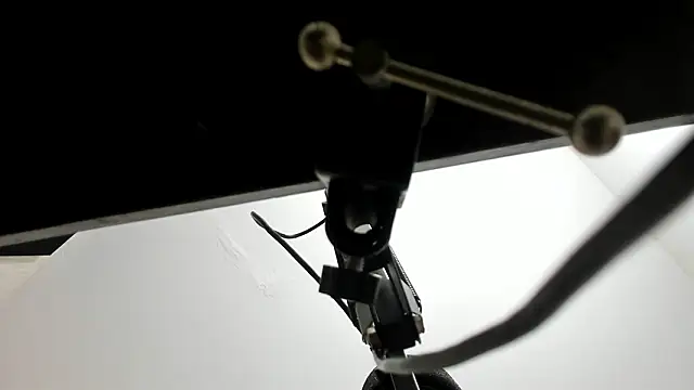 Snapshot of sarita_loven chatting on February 2026 04:42:01 AM sarita loven online show from February 2026 04:42:01 AM