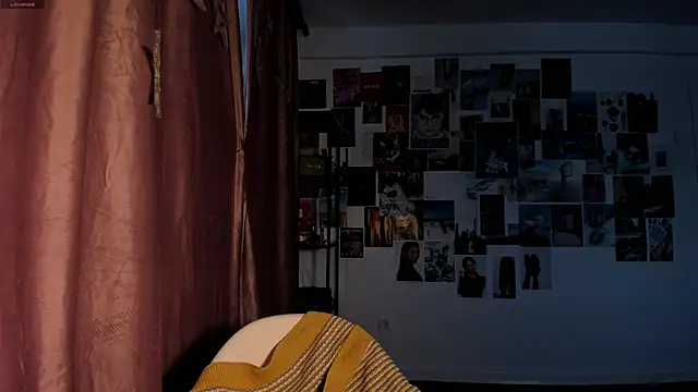 Tenderalise online show from January 2025 09:37:02 AM