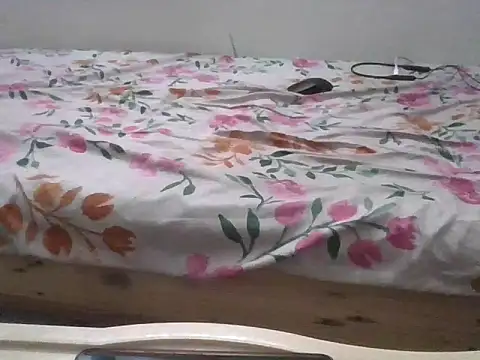 divi5555 online show from May 2026 07:06:02 AM
