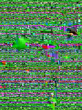 eva six online show from December 2024 06:45:02 PM