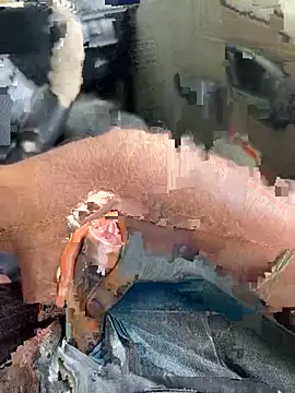 Dakku 69 online show from March 2026 09:48:01 AM