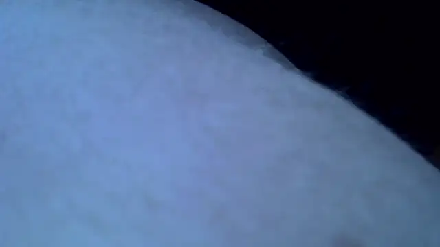 Snapshot of Mariomario0565 chatting on January 2025 08:11:02 AM Mariomario0565 online show from January 2025 08:11:02 AM