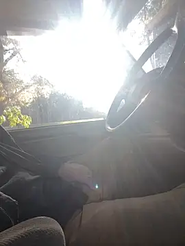 Snapshot of Themechanic420 chatting on November 2025 02:17:02 PM Themechanic420 online show from November 2025 02:17:02 PM