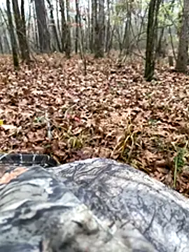 Snapshot of Themechanic420 chatting on December 2025 10:26:01 PM Themechanic420 online show from December 2025 10:26:01 PM