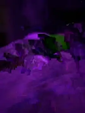 Snapshot of Themechanic420 chatting on February 2026 02:37:02 PM Themechanic420 online show from February 2026 02:37:02 PM