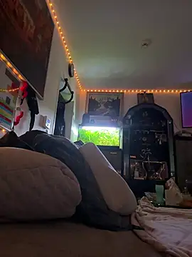 Toyjungee online show from February 2026 08:08:02 AM