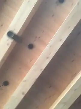 Fellix online show from December 2024 11:30:01 AM