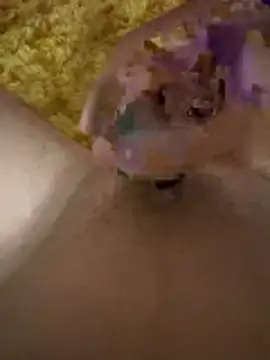 papi88 online show from March 2026 04:20:02 AM