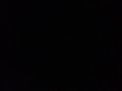 Likewise online show from December 2024 11:50:02 AM