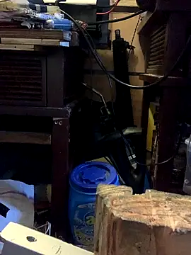 Likewise online show from October 2025 05:46:02 PM