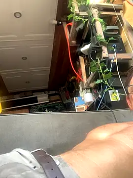 Likewise online show from December 2025 08:48:01 PM