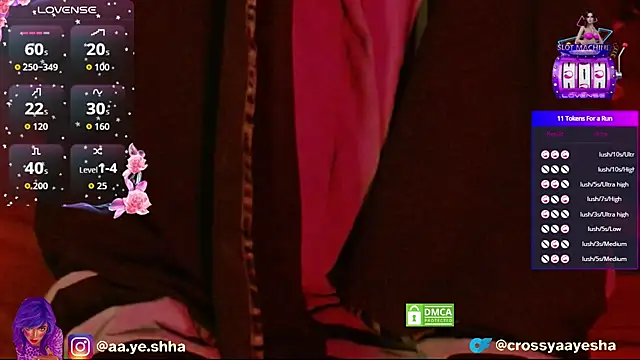 CrossyAayesha online show from November 2025 04:40:02 PM