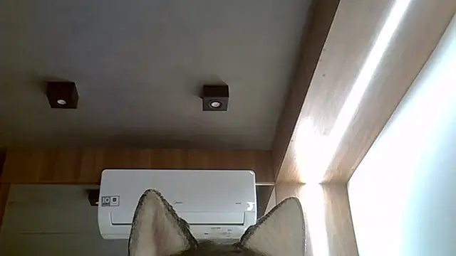 Skinny-Kitten online show from September 2025 02:45:01 AM