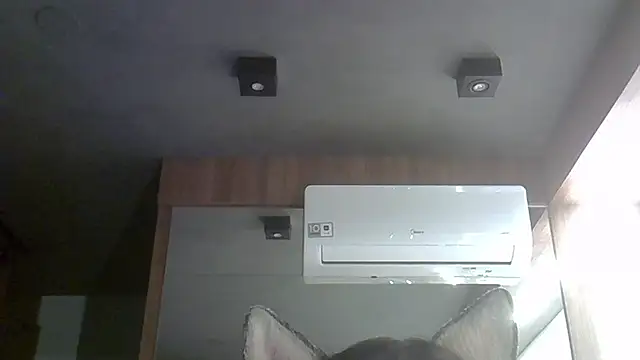 Skinny-Kitten online show from October 2025 12:30:01 AM