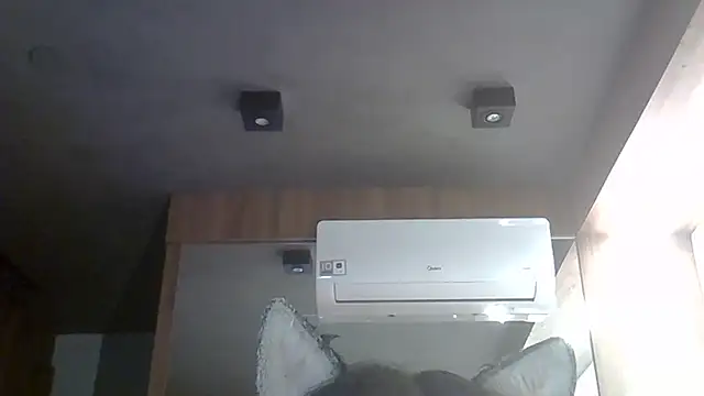 Skinny-Kitten online show from January 2026 10:13:02 PM