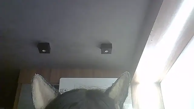 Skinny-Kitten online show from March 2026 03:43:01 AM