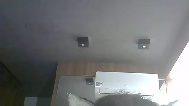 Snapshot of Skinny-Kitten chatting on May 2026 11:17:02 AM Skinny-Kitten online show from May 2026 11:17:02 AM