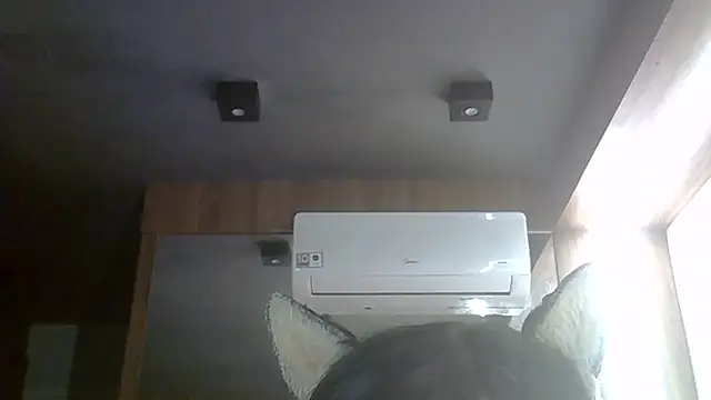 Snapshot of Skinny-Kitten chatting on June 2026 08:38:01 AM Skinny-Kitten online show from June 2026 08:38:01 AM