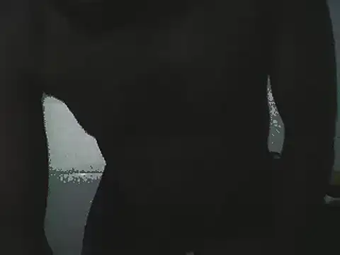 Snapshot of Stormward chatting on January 2025 12:14:02 AM Stormward online show from January 2025 12:14:02 AM