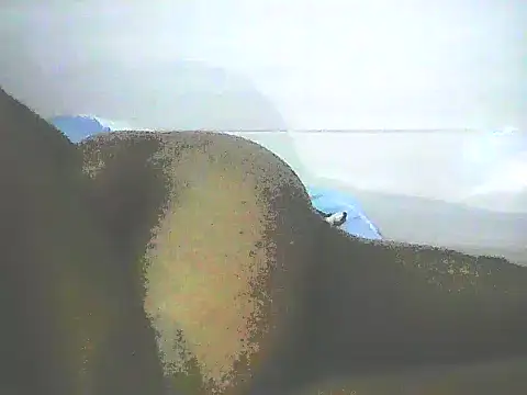 Snapshot of Stormward chatting on January 2025 12:28:02 AM Stormward online show from January 2025 12:28:02 AM