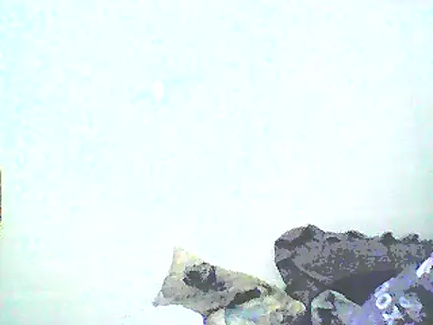 Snapshot of Stormward chatting on January 2025 08:46:02 AM Stormward online show from January 2025 08:46:02 AM