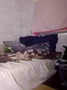 Snapshot of Stormward chatting on March 2026 05:24:01 AM Stormward online show from March 2026 05:24:01 AM