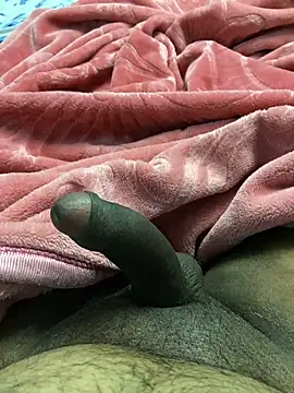 Snapshot of Honeydick7 chatting on January 2025 05:31:01 PM Honeydick7 online show from January 2025 05:31:01 PM