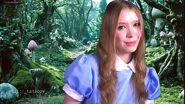 TataCoy online show from November 2025 03:56:02 PM