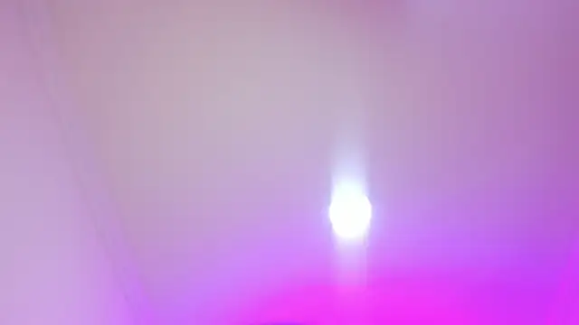 nalalye cruzz  online show from April 2026 03:04:02 AM