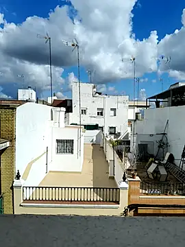 pigboybi online show from March 2025 01:18:01 PM