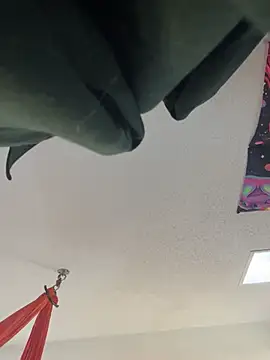 Terrafirma online show from January 2025 04:11:02 PM