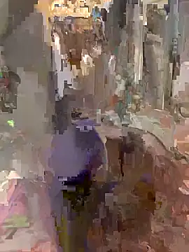 Terrafirma online show from November 2025 12:49:02 PM