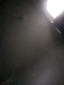 kevin613603 online show from February 2026 10:47:01 AM