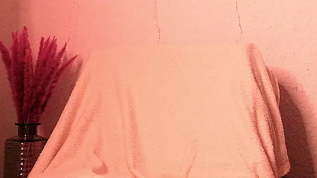 Snapshot of SecretAnni chatting on January 2025 06:16:02 PM SecretAnni online show from January 2025 06:16:02 PM