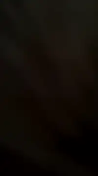 ft2022W online show from February 2025 05:37:01 PM