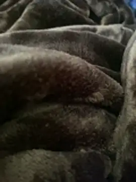 ft2022W online show from March 2026 06:16:02 PM