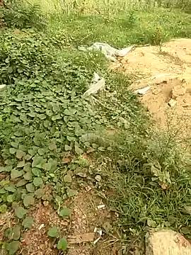 Snapshot of COUPLLE_VILLAGE chatting on May 2026 01:44:02 AM COUPLLE VILLAGE online show from May 2026 01:44:02 AM
