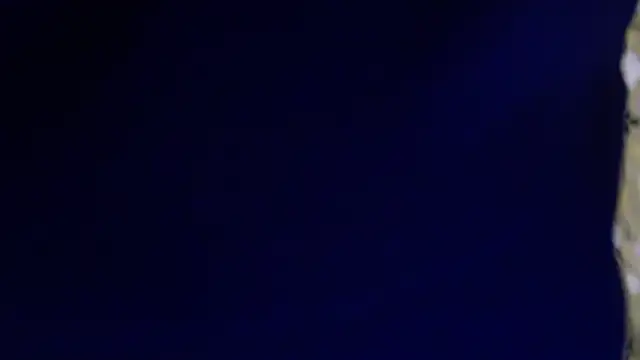 -AyeshaSinghania- online show from February 2026 01:45:01 AM