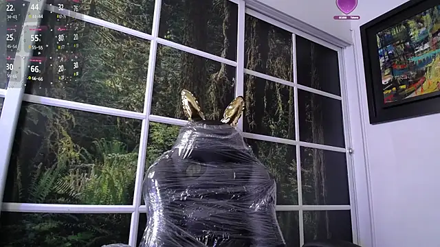 darshajaya online show from January 2025 10:32:01 AM