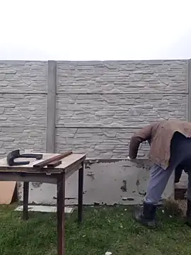 Snapshot of Pandasky chatting on February 2025 11:32:02 AM Pandasky online show from February 2025 11:32:02 AM