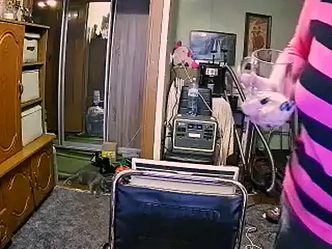 LOLA8888 online show from December 2025 12:03:02 PM