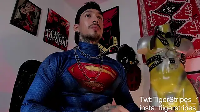 TigerStripes1  online show from March 2026 04:50:01 AM