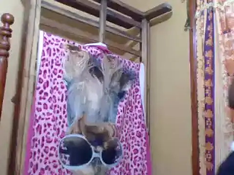 sweetbabra1 online show from February 2025 05:58:01 AM