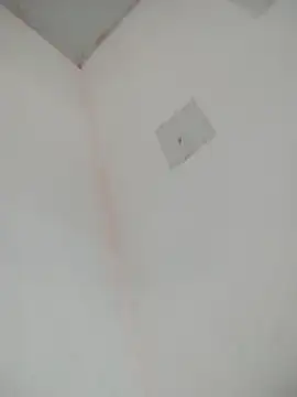 loiradiva29 online show from March 2025 02:25:02 PM