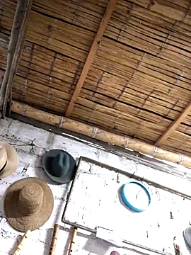 kvr27 online show from November 2025 11:00:01 AM