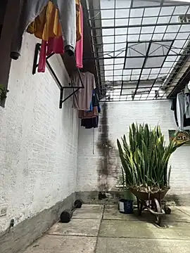 oliver price1 online show from September 2025 04:07:02 PM