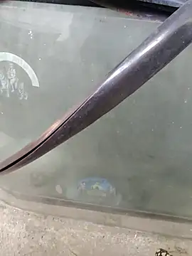 Snapshot of Kolkata___Boy chatting on February 2025 08:46:02 AM Kolkata   Boy online show from February 2025 08:46:02 AM